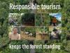 Cardamom Tented Camp among the world’s most responsible tourism projects: ICRT