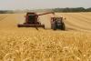 Kazakhstan Achieves Record Agricultural Growth in 2025