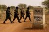 The Fight Against Terror in the Sahel: From Despair to Agric...