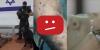 YouTube Quietly Erased More Than 700 Videos Documenting Israeli Human Rights Violations