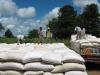 Zambia loses part of its DRC maize, mealie meal market – report