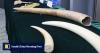 Hong Kong customs vows to tackle fund flows for large-scale wildlife smuggling