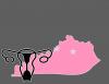 Kentucky’s women’s healthcare is a disgrace to Kentuckians