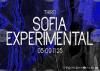 Bulgarian, German, Dutch, French, Czech Artists to Perform at Sofia Experimental Festival