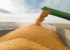 Kazakh grain transit to Armenia begins via Azerbaijan