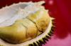 Durian producer DSR Taiko eyes RM100mil sales by expanding exports to China