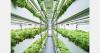 "We are training local farmers and schools, bringing vertical farming technology into education”