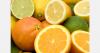 Argentina’s citrus exports recover to 310,000 tons in 2025
