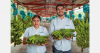 Corporación Palmar marks its 50th anniversary in Ecuadorian bananas