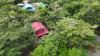 Belize Jungle Retreat Turns Legal Battleground