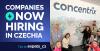 Hiring Now: 7 international companies in Czechia looking for new talent