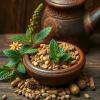 Ethiopian Traditional Medicine: Herbal Remedies in Menz Keya