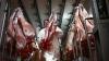 Argentine sheep meat exports rise 2.5% in first seven months of 2025