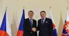 What is the future of Czech–Slovak relations under Babiš and Fico?