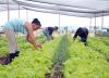 Camagüey agricultural technicians promote agroecological practices for a sustainable future