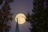 Science KIRO November’s beaver supermoon will be the largest, closest and brightest full moon of 2025