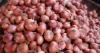 Onion prices skyrocket in Dhaka, from Tk70-120 per kg