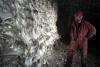 Massive spider web network discovered on Greece-Albania border