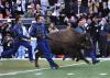 Colorado Buffaloes vs. Arizona Wildcats