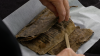 13th-century Christian songbook made of furry sealskin may be Norway's oldest surviving book