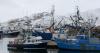 Alaska commercial fishing jobs have fallen to a record low, report says