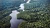 Germany promises support for Brazil's tropical forest protection scheme at UN climate talks