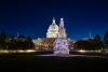 U.S. Capitol Christmas Tree stopping in Amarillo on its way to Washington D.C.
