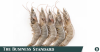 Bangladesh shrimp exports set for rebound with first on-board frozen shipment to Europe