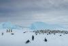 Quark Achieves Helicopter Access to Emperor Penguin Colony