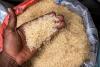 Afreximbank says Africa’s rice market to hit $29.2 billion by 2030 