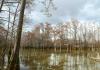 Major conservation win: Hatchie Bottom added to Tennessee’s protected public lands The Tennessee Wildlife Resources Agency (TWRA) , in partnership with The Nature Conservancy of Tennessee (TNC) and The Conservation Fund (TCF), announced the ac