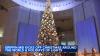 Griffin Museum of Science and Industry kicks off holidays with Tree Lighting and Cultural Festival