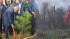 State Secretary for Agriculture Oversees Reforestation Campaign in Fire-Affected Forests of Nefza [Photos + Video]