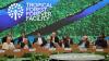 World leaders launch fund to save forests, get first $5b