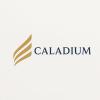 Luxembourg’s Quiet Powerhouse: Caladium Raises $345 M to Bridge Asia, Europe & Web3 Frontiers
