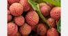 Madagascar lychee production expected to rise