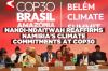 Namibia unveils ambitious updated Nationally Determined Contributions at COP30