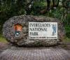 A Family Escape into Nature: Experience Everglades  National Park