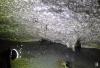 World's largest spider web containing 100,000 spiders discovered in Albanian cave