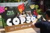 COP30 in Belem, Brazil confronts climate challenges amid logistical problems