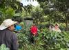 HRNS and Numerous Large Roasters Lead ‘Climate-Smart’ Project in Honduras