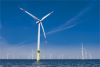 Denmark adjusts offshore wind tender terms amid 'severe pressure'