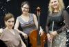 Trio bring classical and contemporary music to town