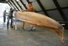Photo Essay: A Revered Hawaiian Koa Canoe Returns To The Ocean