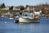 Fisheries leaders should be looking out for Maine’s little guys | Opinion