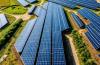 Belgium’s Solar Park To Produce Green Hydrogen From Sunlight using direct hydrogen-producing PV modules from Solhyd