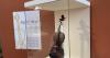 Violins from the Holocaust era give life to Jewish musicians' stories