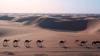 Camel rides and sunset tea: A journey through Algeria's Sahara