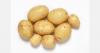 Belarus sets new potato size standards for state supply