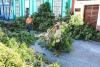 Recovery progresses in eastern provinces of Cuba after Melissa